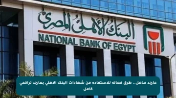 عائد مذهل.. طرق فعالة للاستفادة من شهادات البنك الأهلي بعائد تراكمي كامل